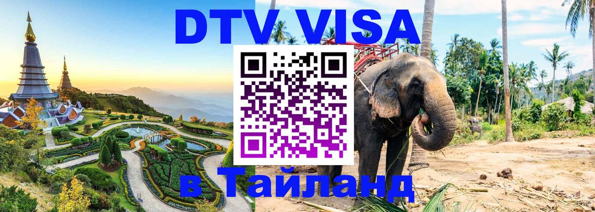 Сколько стоит DTV виза — актуальные цены, оформление даже без документов - 